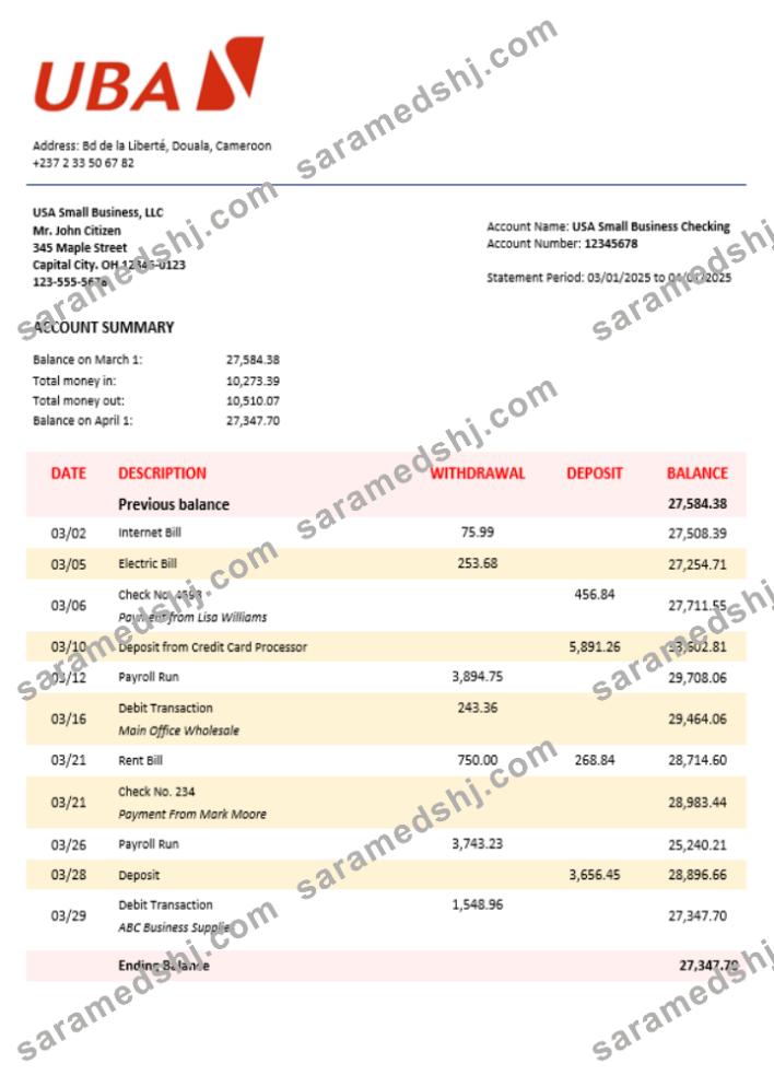 UBA company statement Word and PDF format